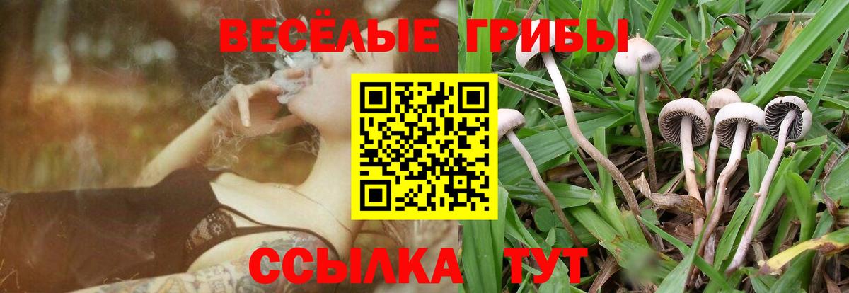Метамфетамин Карасук